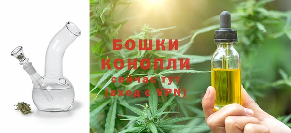 прущие грибы Абаза