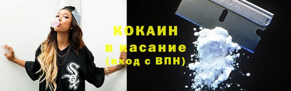 прущие грибы Абаза