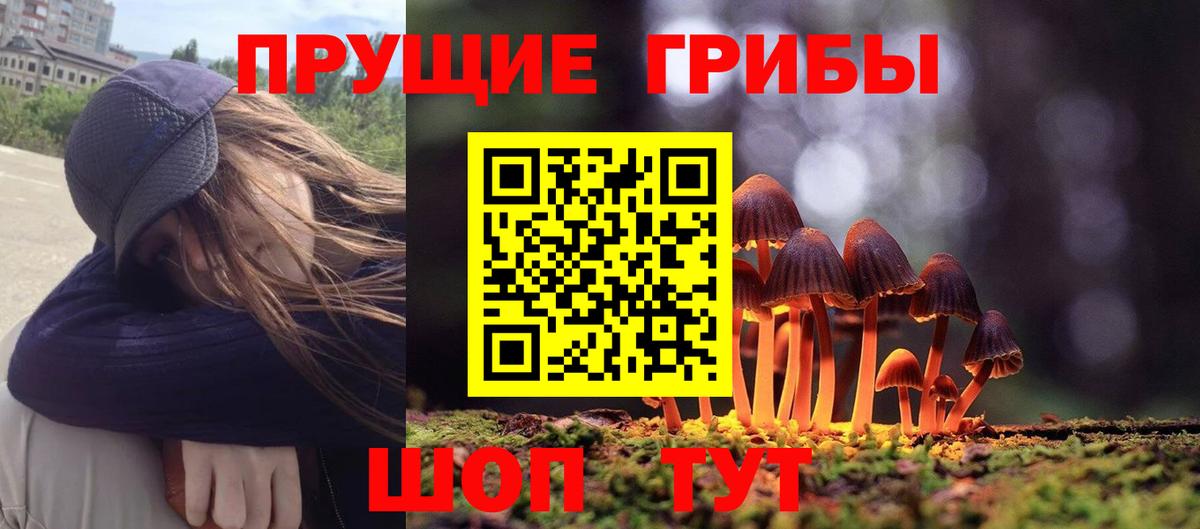 Псилоцибиновые грибы Cubensis Уфа