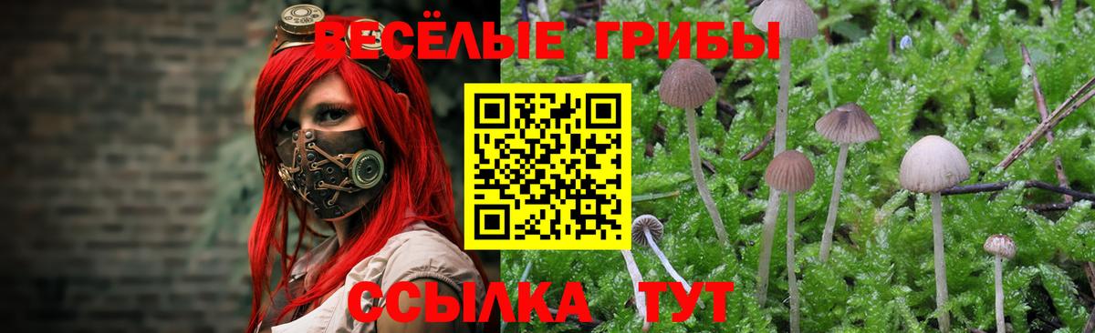 Псилоцибиновые грибы мицелий  Вход с VPN  Уфа 
